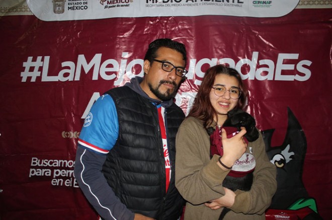Tener un animal de compañía no solo transforma la vida de los seres humanos, también brinda beneficios a las familias.