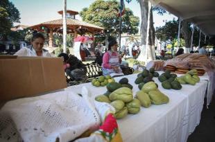 En el tianguis agroecológico llegó a su cuarta edición.