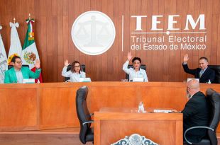 Tribunal Electoral del Estado de México (TEEM)