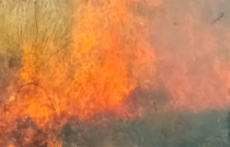 Ráfagas de viento dificultan controlar incendios en Texcoco