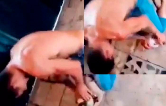 #Video: Buscan a hombre que golpea y mata a perrito Pitbull en CDMX