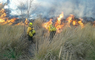 Ocuilán, Acambay y Valle de Bravo, los más afectados por incendios forestales