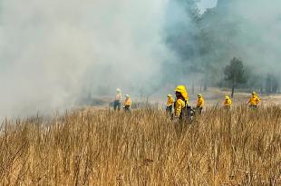 A partir del inicio de la temporada de estiaje,  los 348 combatientes de la Protectora de Bosques (Probosque) inician con la época más dura