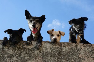 Estas medidas buscan reducir incidentes y garantizar la seguridad.