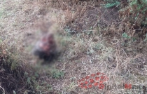 Terror: hallan cráneo carcomido en la Marquesa