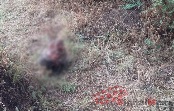 Terror: hallan cráneo carcomido en la Marquesa