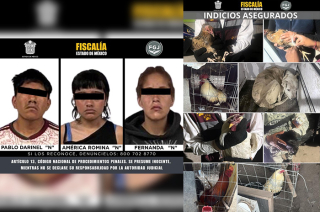 Tres personas fueron detenidas durante un cateo realizado por la Fiscalía del Estado de México en un inmueble de la colonia Tejalpa, en Ixtapaluca.