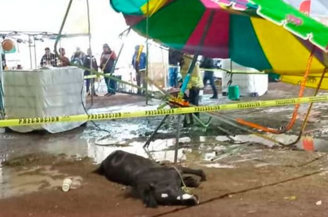 Gobierno de #Xonacatlán permite maltrato animal en ferias del municipio; aquí video de como murió este pony