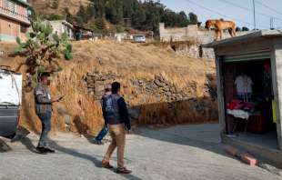 Realizaron el aseguramiento de dos caninos raza bóxer en domicilios particulares dentro de las delegaciones San Luis Obispo y San Mateo Oxtotitlán