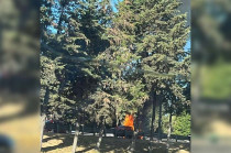 El siniestro, que fue reportado a través de una llamada de emergencia, no dejó personas lesionadas.