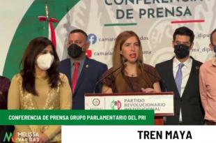 La diputada Melissa Vargas Camacho enlistó los daños ambientales que tendrá este tren.