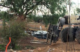 Debajo del árbol quedó el cuerpo del trabajador