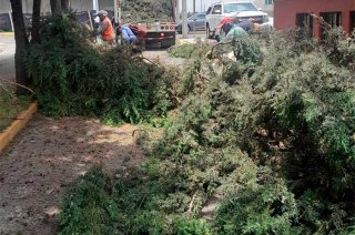 El incidente se registró a la altura de Haciendas del Bosque, en el municipio de Metepec.