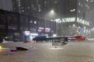 #Video: ¡Tragedia! Suman 37 muertos por inundaciones en #Corea del Sur