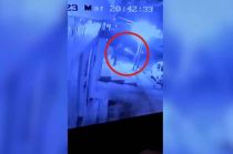 Sucedió sobre la calle Manuel Buendía, entre la colonia Carlos Hank González y Guadalupe.