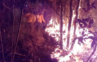 Combaten brigadas fuerte incendio forestal en Valle de Bravo