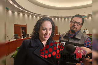 Amalia Pulido Gómez, presidenta del IEEM.