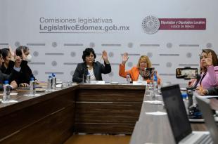 La consulta busca proteger y garantizar el ejercicio de los derechos y libertades de las personas en situación de discapacidad.