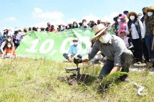 Reforestación Parque Sierra Morelos