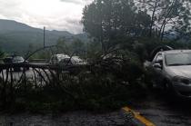 El reblandecimiento de la tierra ocasionó que parte del cerro se derrumbara.