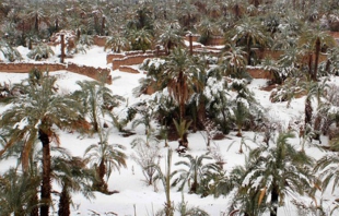 Desierto de Marruecos amanece con nieve