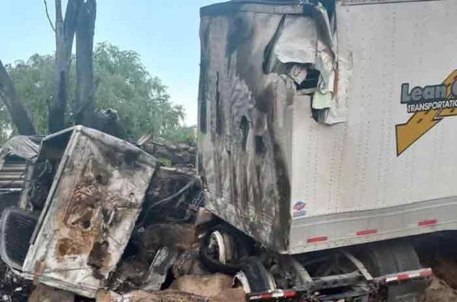 La unidad comenzó a incendiarse luego de chocar con un árbol.