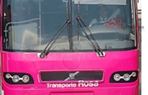 Propone diputado ampliar programa de Transporte Rosa