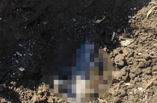 Seis bolsas con restos humanos descubiertas en predio cercano a la UAEMex