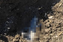 Seis bolsas con restos humanos descubiertas en predio cercano a la UAEMex