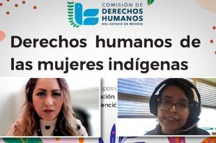 Derivado de la lucha incansable de mujeres indígenas se logró la creación de leyes, pero no basta.