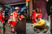 Gracias a un reporte, dos ambulancias fueron enviadas al lugar.