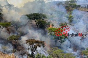 Diputados del PAN propusieron establecer multas a quien efectúe quemas en terrenos agropecuarios colindantes con los terrenos forestales.