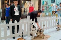 El centro impulsa jornadas de adopción, campañas de esterilización y pláticas de tenencia responsable en las comunidades de Huixquilucan.