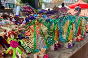 Inicia venta de palmas en San Cristóbal Huichochitlán, tejedoras se alistan desde febrero