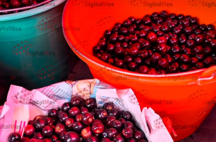 El evento incluirá premiación por categorías y una oferta cultural y gastronómica que destaca productos derivados de este fruto emblemático.