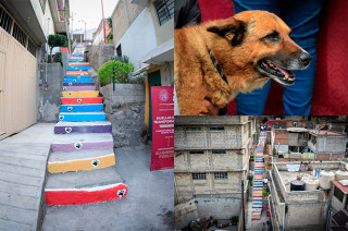 La comunidad y organizaciones protectoras impulsaron la resignificación del espacio para promover el cuidado y respeto hacia los animales.