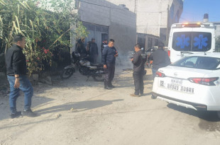 Autoridades de Protección Civil y paramédicos atienden a los afectados por picaduras de abeja