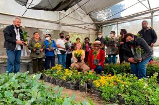 El vivero puede donar hasta cinco plantas a un ciudadano, quien debe entregar una solicitud para recibirlas.