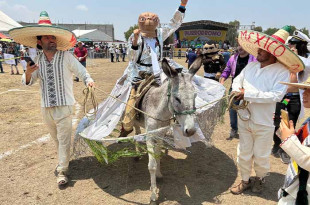 Originarios de Cuautlacingo y Santiago Tolman, los burros ganadores lucieron coloridos atuendos de papel picado con picos.
