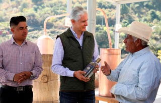 Por más mezcal en Edomex; Del Mazo entrega apoyo a productores