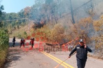 Aún se desconoce si el incendio fue provocado o resultado de factores ambientales.