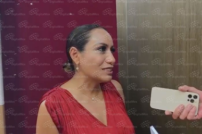 La diputada Ruth Salinas Reyes, de Movimiento Ciudadano, acusó simulación legislativa durante la sesión de Comisiones Unidas.