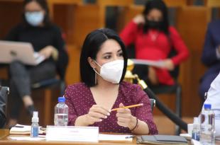 Diputados revelaron que incluso algunos familiares de las víctimas han recibido cuerpos equivocados derivado de la falta de capacidad.