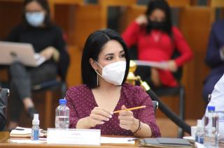 Diputados revelaron que incluso algunos familiares de las víctimas han recibido cuerpos equivocados derivado de la falta de capacidad.