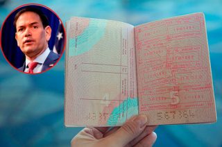 Tiene como objetivo debilitar las redes familiares, financieras y operativas que sostienen al narcotráfico.