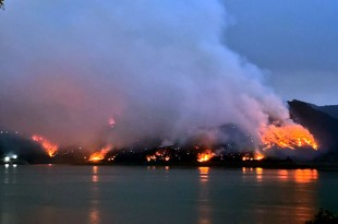 Brigadas de los tres órdenes de gobierno atienden incendio forestal