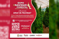 María Eugenia Rojano, secretaria del Campo, invitó a la ciudadanía a preferir adornos naturales durante la temporada