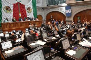 México ocupa el tercer lugar con más animales en situación de calle.