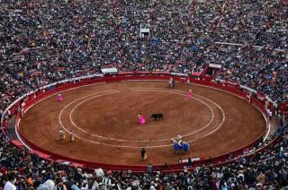 Sandra de Jesús Zúñiga dictó una suspensión provisional de corridas en la Plaza México.