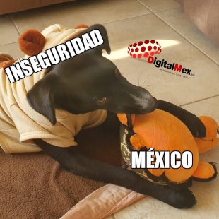 Inseguridad en México